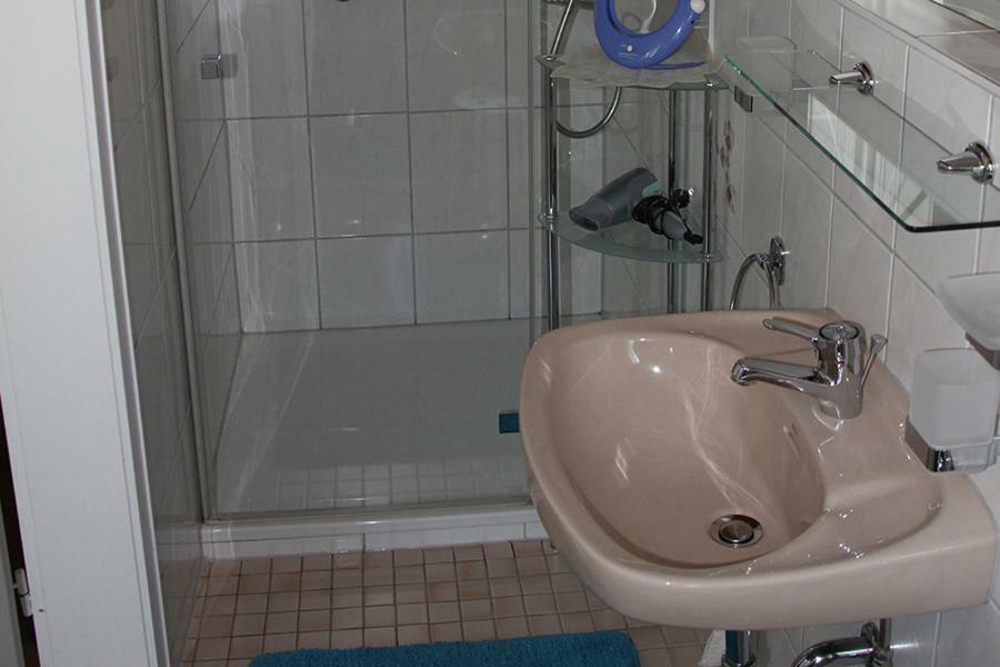 Apartment Baden Baden Haus Am Ibachweg Dış mekan fotoğraf