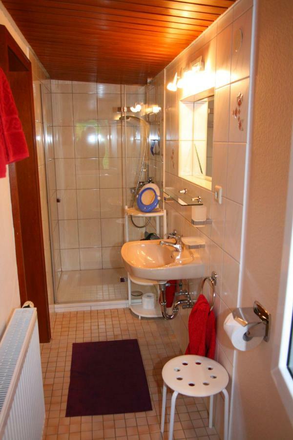 Apartment Baden Baden Haus Am Ibachweg Dış mekan fotoğraf