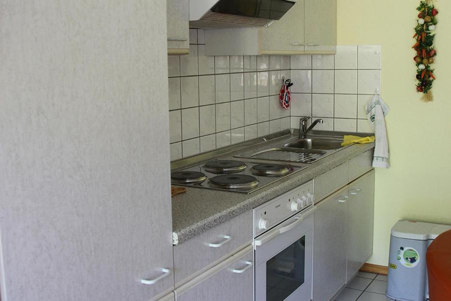 Apartment Baden Baden Haus Am Ibachweg Dış mekan fotoğraf