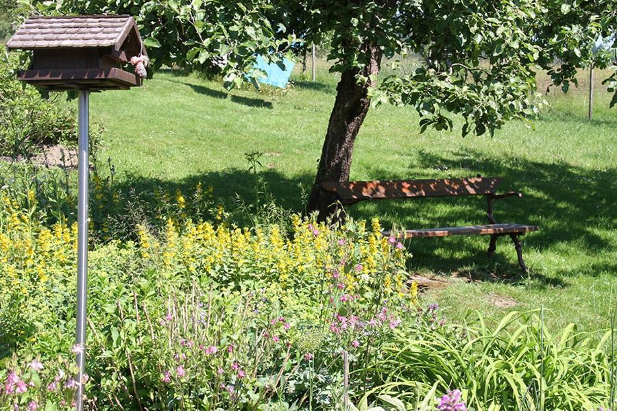 Apartment Baden Baden Haus Am Ibachweg Dış mekan fotoğraf