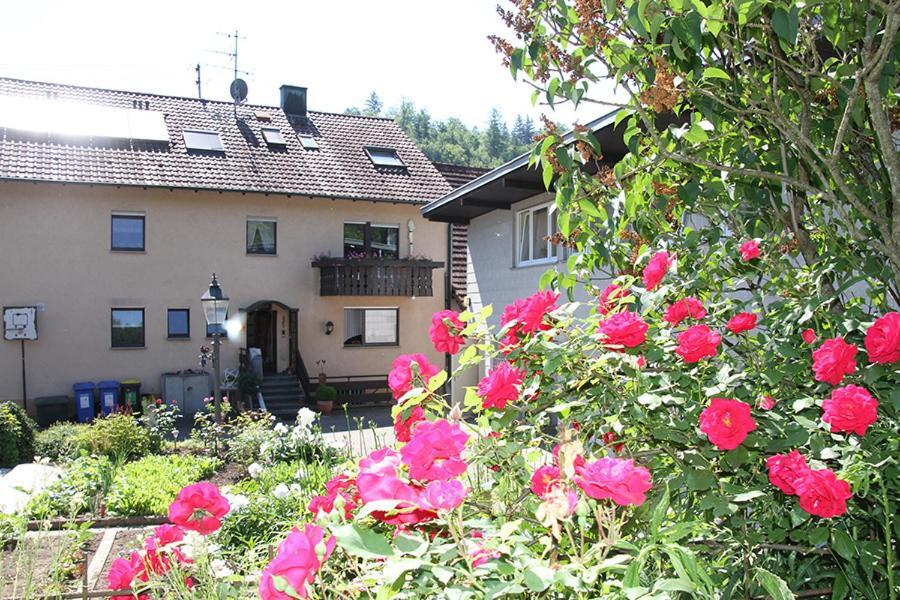 Apartment Baden Baden Haus Am Ibachweg Dış mekan fotoğraf